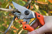 Anvil Hand Pruner