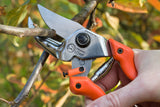 Anvil Hand Pruner